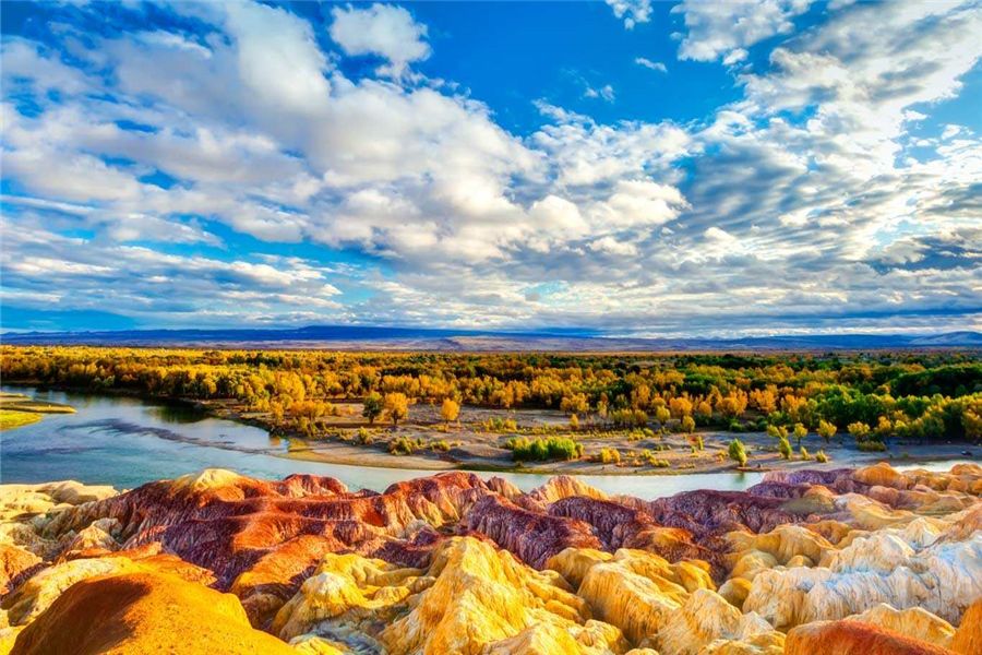 新疆情缘，阳光欢聚时光