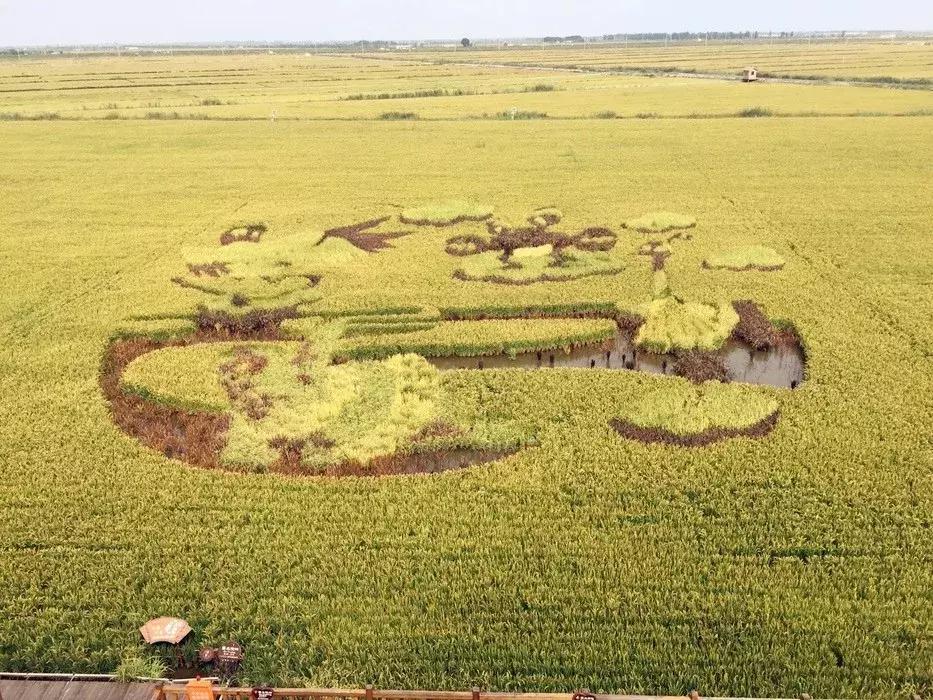 盘锦,盘锦，一座城市与无数梦想的励志故事