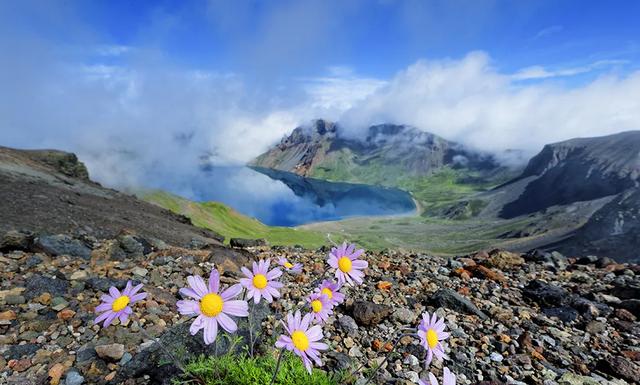白山，探索与评论的交汇点